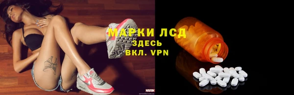 ГАЛЛЮЦИНОГЕННЫЕ ГРИБЫ Алзамай