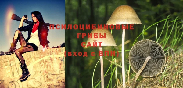 эйфоретик Алексеевка