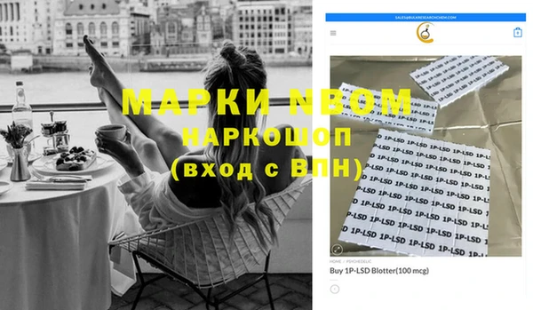 ГАЛЛЮЦИНОГЕННЫЕ ГРИБЫ Алзамай