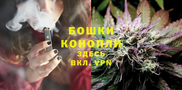 ГАЛЛЮЦИНОГЕННЫЕ ГРИБЫ Алзамай