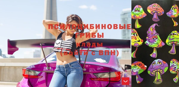 ГАЛЛЮЦИНОГЕННЫЕ ГРИБЫ Алзамай
