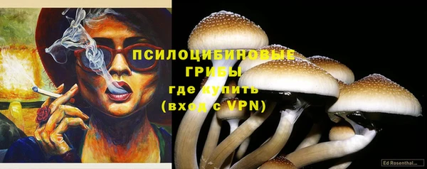 гидропоника Алексин