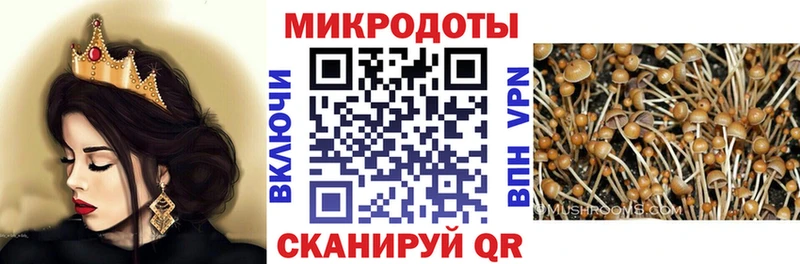 МЕГА как зайти Звенигород Псилоцибиновые грибы мухоморы закладка